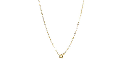 Round Spring Clasp Paper Clip Chain Necklace